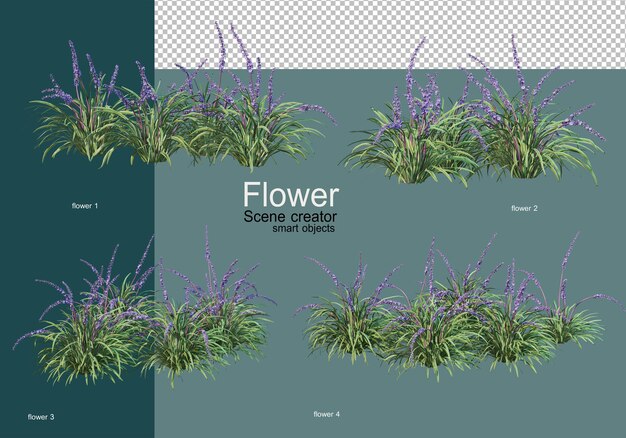 Hermosos varios tipos de flores.