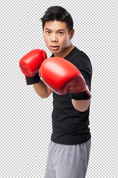 Heureux homme de sport chinois avec des gants de boxe