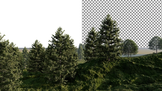 La hierba de la colina y los pinos png telón de fondo transparente renderización 3d