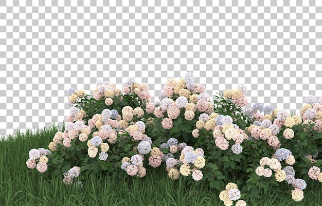 PSD hierba y flores sobre fondo transparente. representación 3d - ilustración