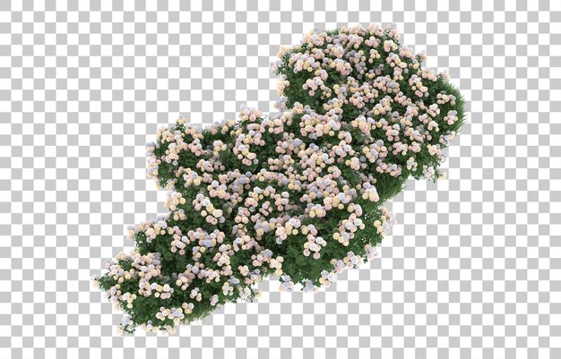 Hierba y flores sobre fondo transparente. Representación 3d - ilustración