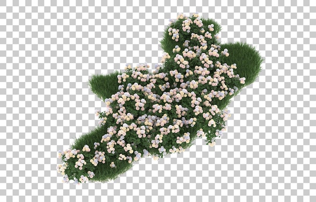 Hierba y flores sobre fondo transparente. Representación 3d - ilustración