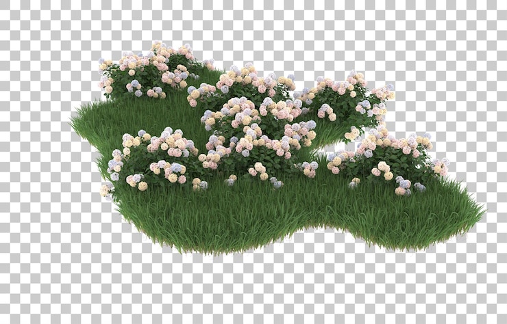 PSD hierba y flores sobre fondo transparente. representación 3d - ilustración