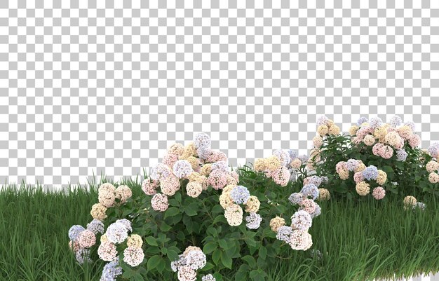 Hierba y flores sobre fondo transparente. Representación 3d - ilustración