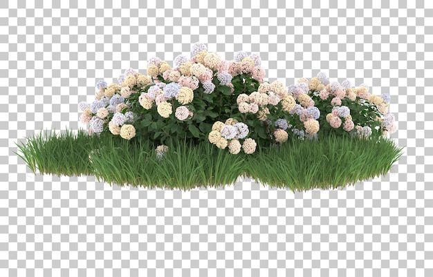Hierba y flores sobre fondo transparente. Representación 3d - ilustración