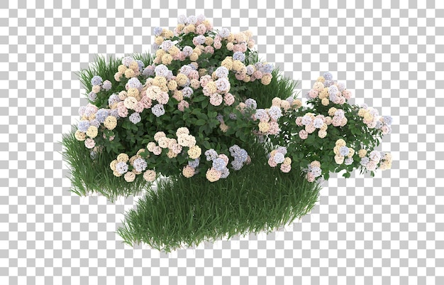 Hierba y flores sobre fondo transparente. Representación 3d - ilustración