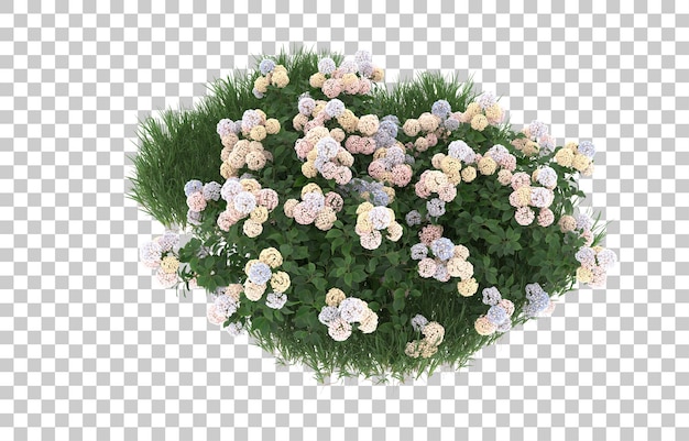Hierba y flores sobre fondo transparente. Representación 3d - ilustración