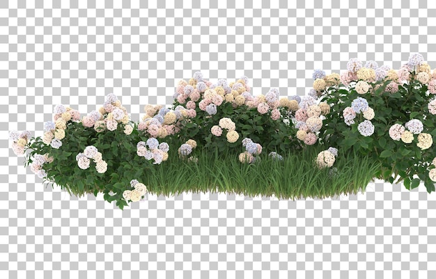 Hierba y flores sobre fondo transparente. Representación 3d - ilustración