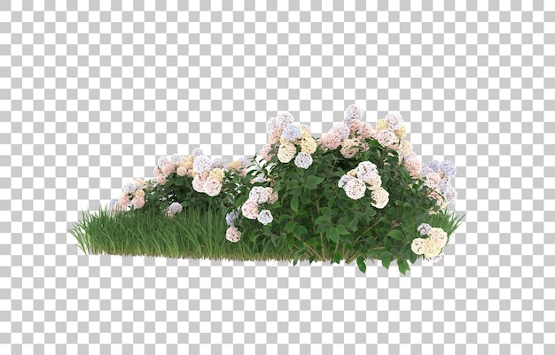 Hierba y flores sobre fondo transparente. Representación 3d - ilustración