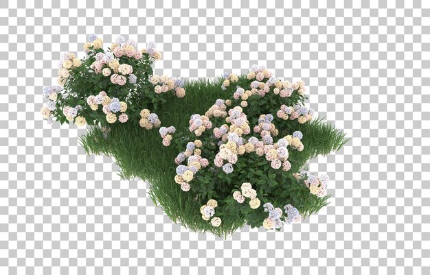 Hierba y flores sobre fondo transparente. Representación 3d - ilustración