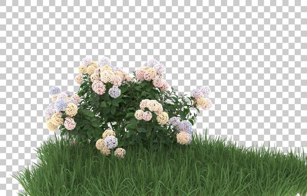 Hierba y flores sobre fondo transparente. Representación 3d - ilustración