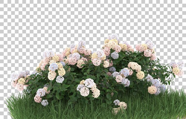 Hierba y flores sobre fondo transparente. Representación 3d - ilustración