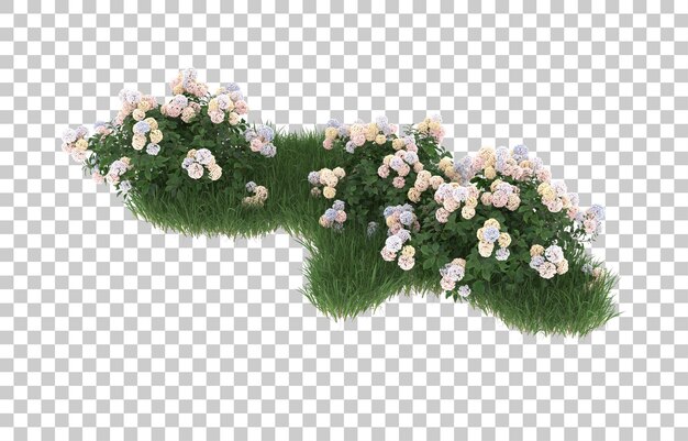 PSD hierba y flores sobre fondo transparente. representación 3d - ilustración