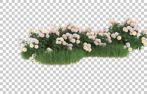 Hierba y flores sobre fondo transparente. Representación 3d - ilustración