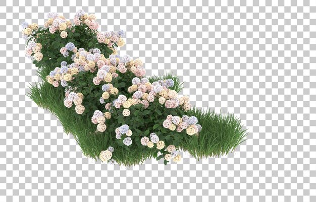 Hierba y flores sobre fondo transparente. Representación 3d - ilustración