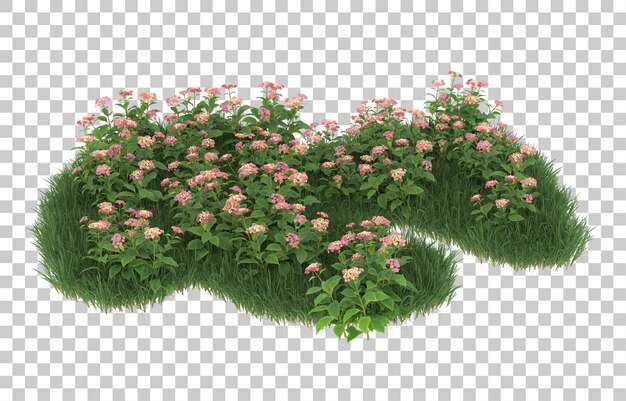 Hierba y flores sobre fondo transparente. Representación 3d - ilustración