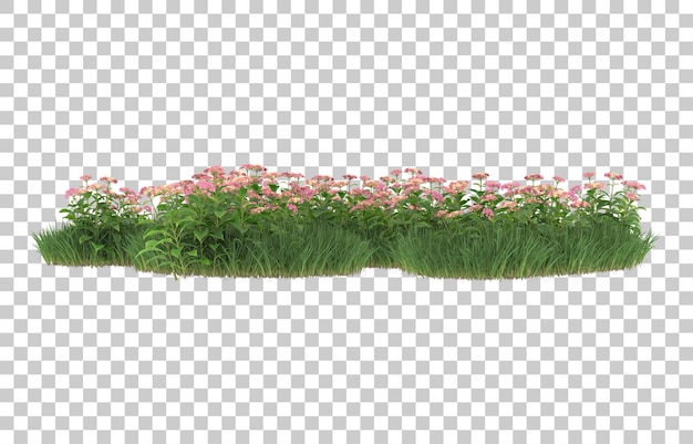 Hierba y flores sobre fondo transparente. Representación 3d - ilustración