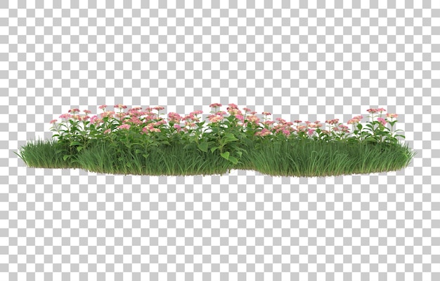 Hierba y flores sobre fondo transparente. Representación 3d - ilustración