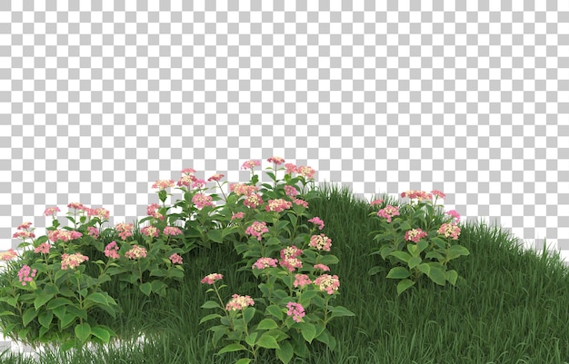 Hierba y flores sobre fondo transparente. Representación 3d - ilustración