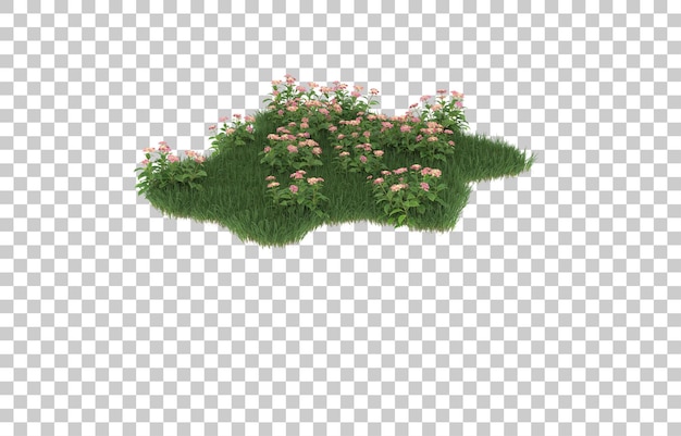 Hierba y flores sobre fondo transparente. Representación 3d - ilustración