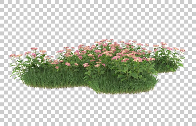 Hierba y flores sobre fondo transparente. Representación 3d - ilustración