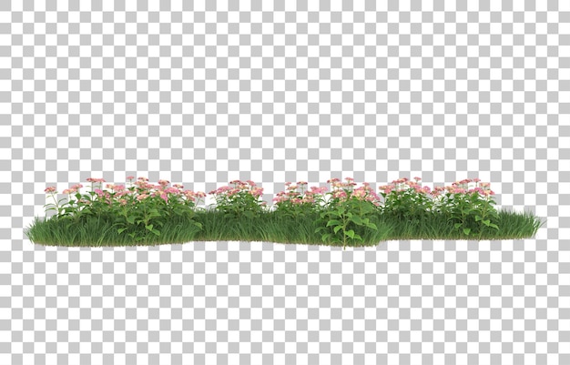 Hierba y flores sobre fondo transparente. Representación 3d - ilustración