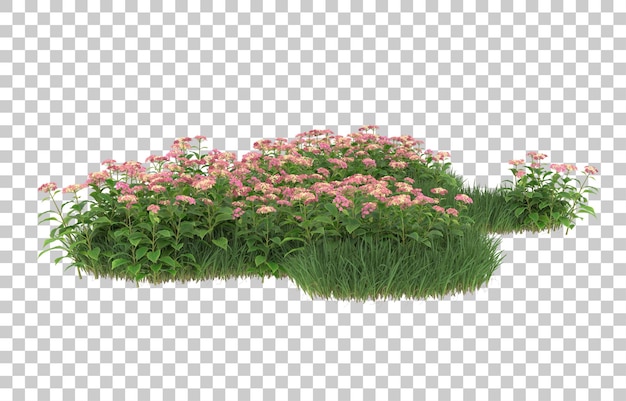 Hierba y flores sobre fondo transparente. Representación 3d - ilustración