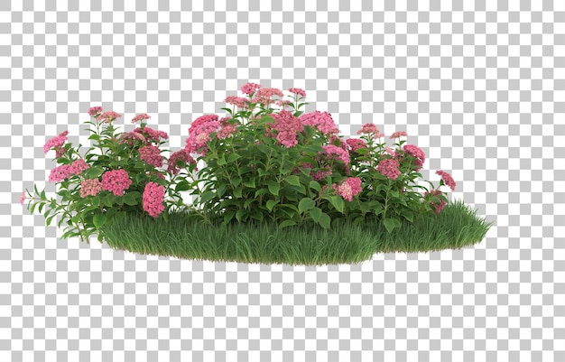 Hierba y flores sobre fondo transparente. Representación 3d - ilustración