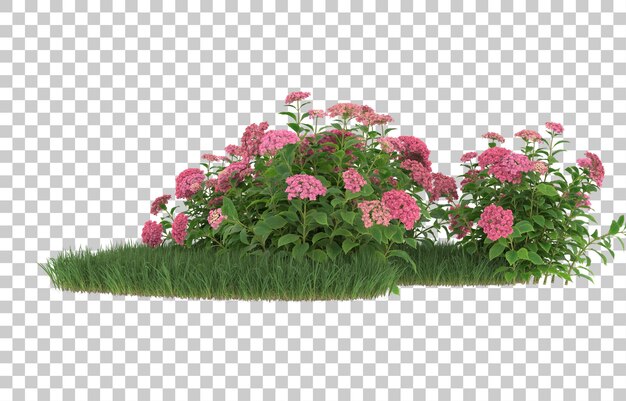 Hierba y flores sobre fondo transparente. Representación 3d - ilustración