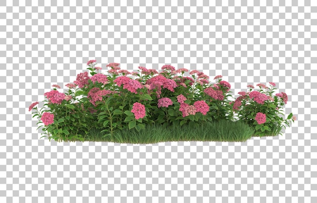 Hierba y flores sobre fondo transparente. Representación 3d - ilustración