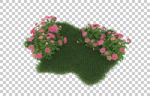 Hierba y flores sobre fondo transparente. Representación 3d - ilustración