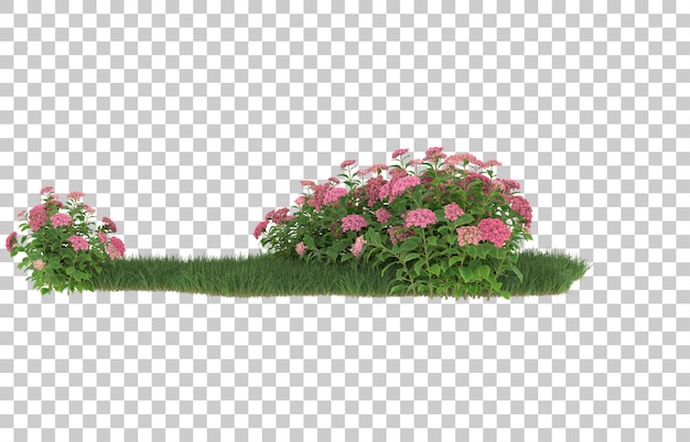 Hierba y flores sobre fondo transparente. Representación 3d - ilustración