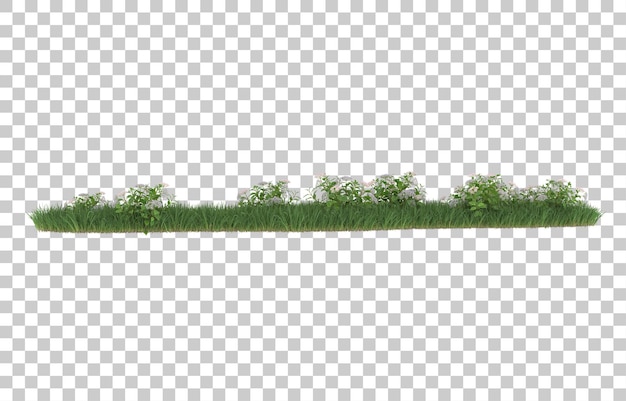 Hierba y flores sobre fondo transparente. Representación 3d - ilustración