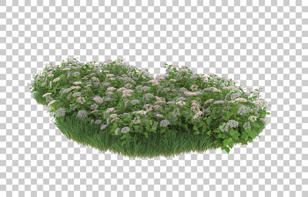 Hierba y flores sobre fondo transparente. Representación 3d - ilustración
