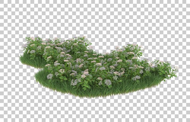 Hierba y flores sobre fondo transparente. Representación 3d - ilustración