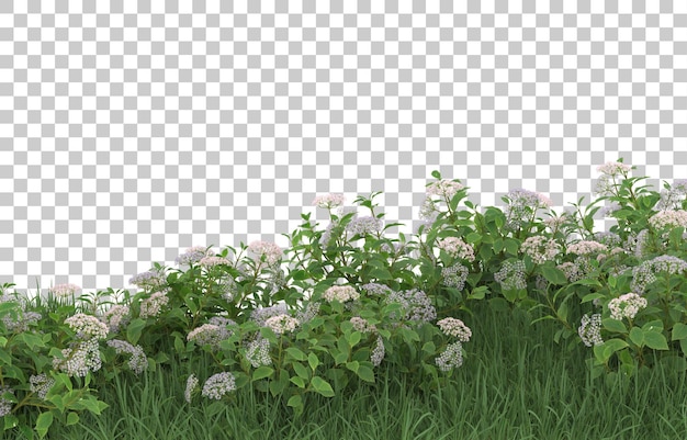 Hierba y flores sobre fondo transparente. Representación 3d - ilustración