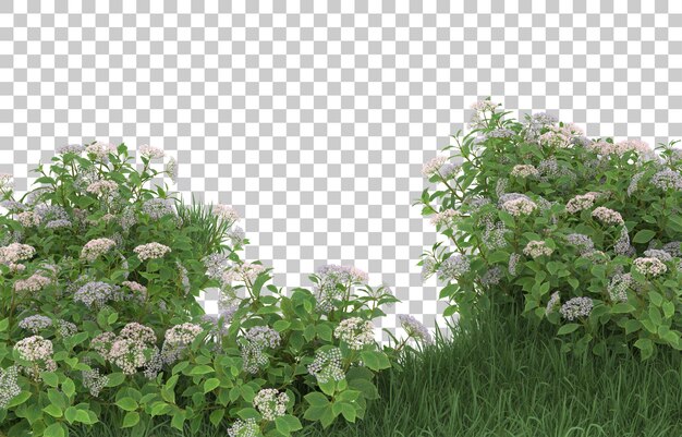 Hierba y flores sobre fondo transparente. Representación 3d - ilustración