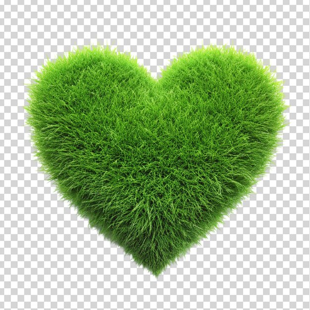 Hierba en forma de corazón aislada sobre un fondo transparente