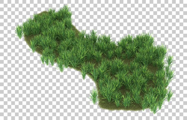 Hierba sobre fondo transparente. Representación 3d - ilustración