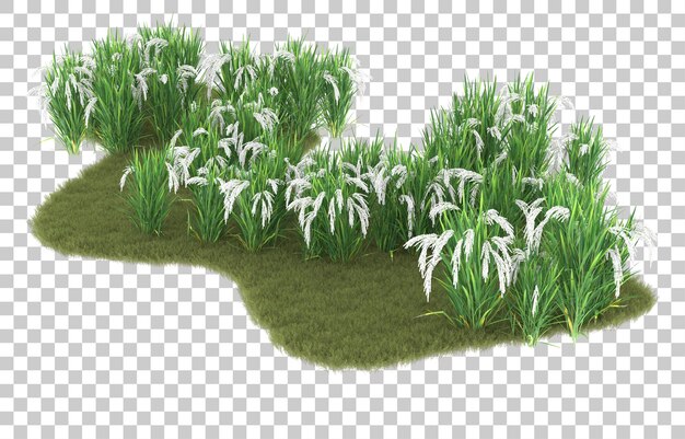 Hierba sobre fondo transparente. Representación 3d - ilustración