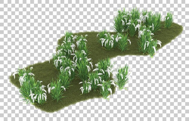 Hierba sobre fondo transparente. Representación 3d - ilustración