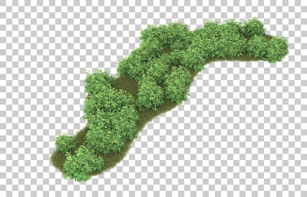 Hierba sobre fondo transparente. Representación 3d - ilustración