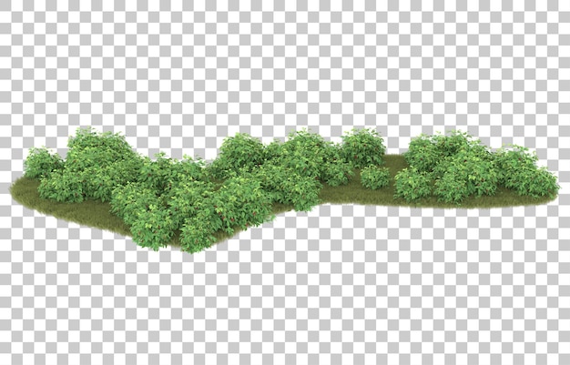 Hierba sobre fondo transparente. Representación 3d - ilustración