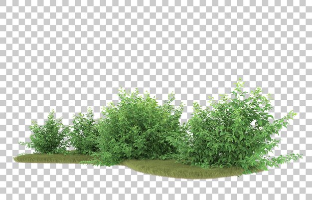 Hierba sobre fondo transparente. Representación 3d - ilustración