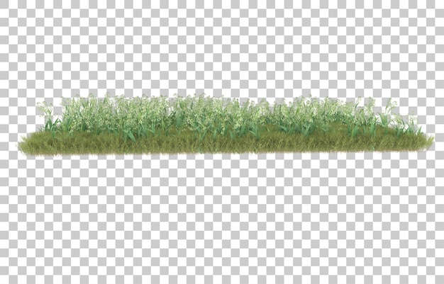 Hierba sobre fondo transparente. Representación 3d - ilustración