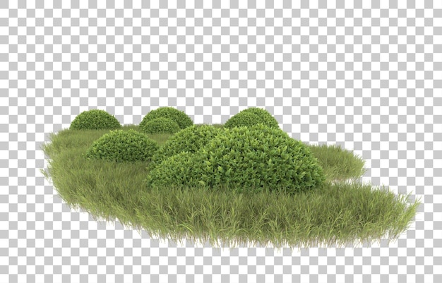 Hierba sobre fondo transparente. Representación 3d - ilustración