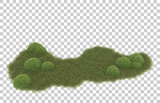Hierba sobre fondo transparente. Representación 3d - ilustración