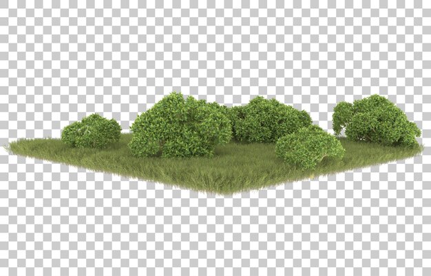 Hierba sobre fondo transparente. Representación 3d - ilustración