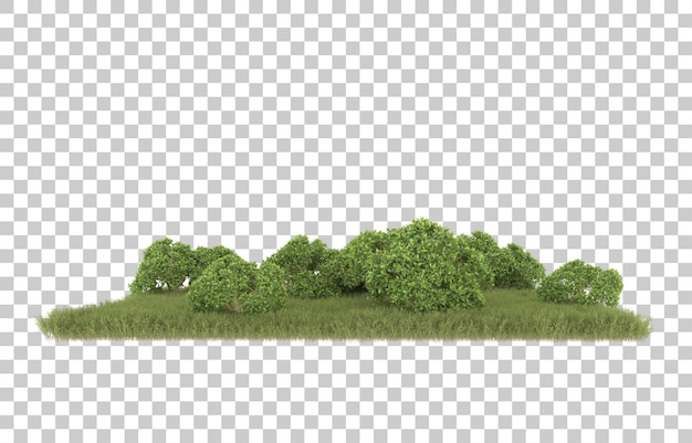 Hierba sobre fondo transparente. Representación 3d - ilustración