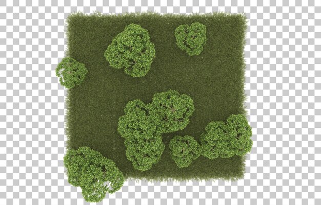 Hierba sobre fondo transparente. Representación 3d - ilustración